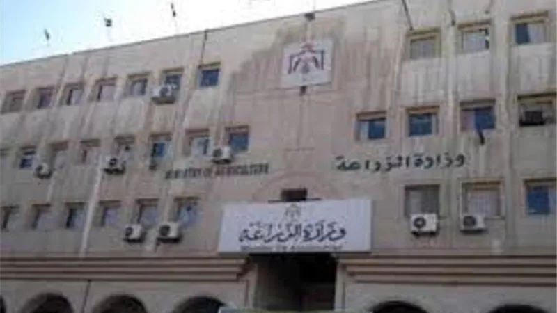 الزراعة: توصيات لمزارعي محاصيل الأعلاف الخضراء الشتوية والصيفية يجب مراعاتها خلال شهر يوليو
