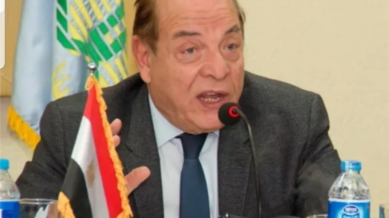 سمير عارف : منع استيراد السلع المثيلة يصب فى مصلحة الصناعة