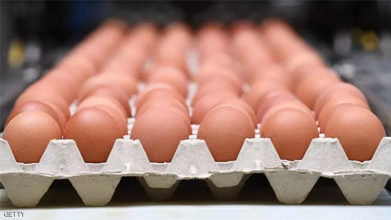 بسبب فيروس كورونا.. منتجو البيض في المغرب يخسرون 36 مليون دولار