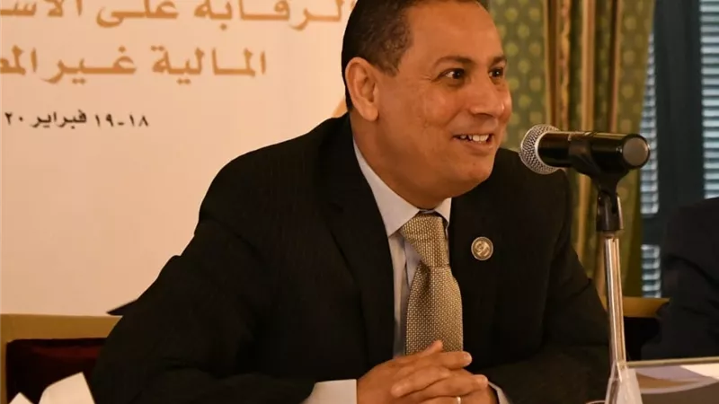 الرقابة المالية تضيف سلعا وخدمات جديدة تحت مظلة التمويل الاستهلاكي