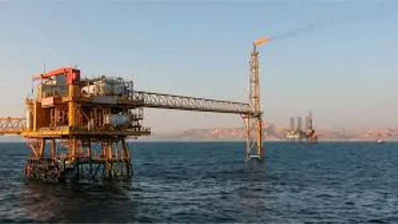 عضو المجلس العالمى للطاقة: حقل بشروش يشير الى زيادة احتياطى الغاز فى مصر