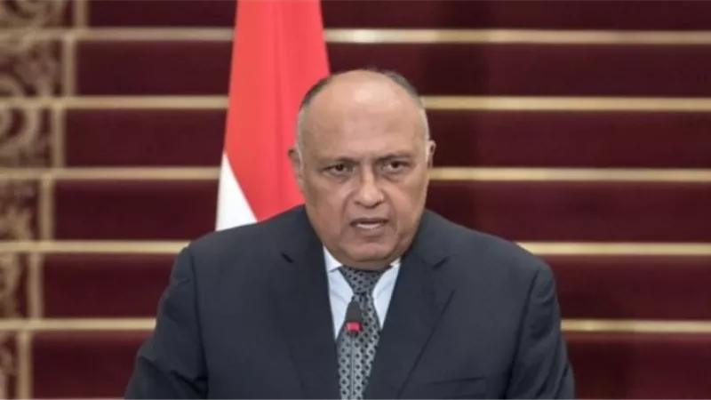 وزير الخارجية أمام مجلس الأمن: لن نتسامح مع أى تهديد يقترب من حدودنا