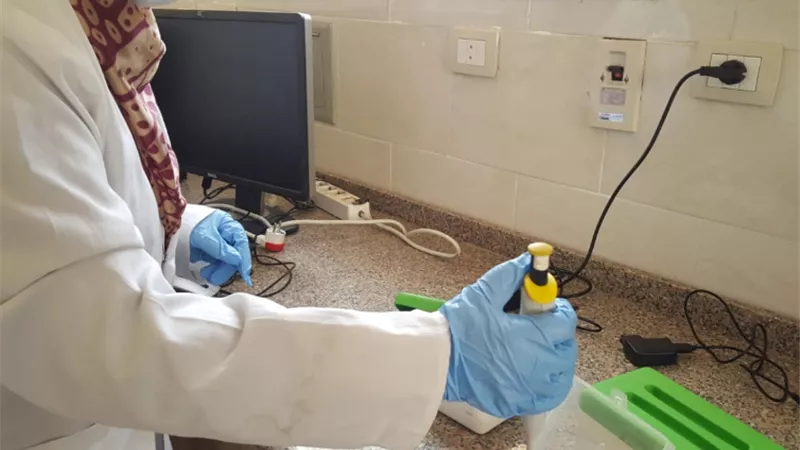 الزراعة: معمل جديد لتشخيص ومكافحة البكتريا بمعهد أمراض النبات