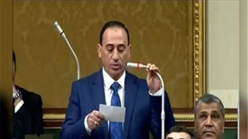 محمد زين الدين يطالب المجتمع الدولى بمواجهة أطماع الدوحة وأنقرة في القرن الأفريقى