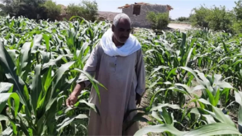 نقيب الفلاحين يطالب الحكومة بصرف قروض بدون فوائد للمزارعين
