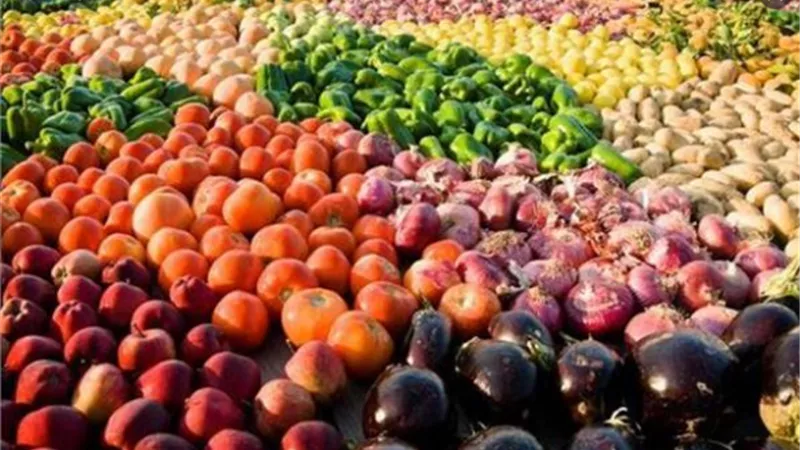 الزراعة: ارتفاع صادرات مصر الزراعية لـ أكثر من 3.6 مليون طن