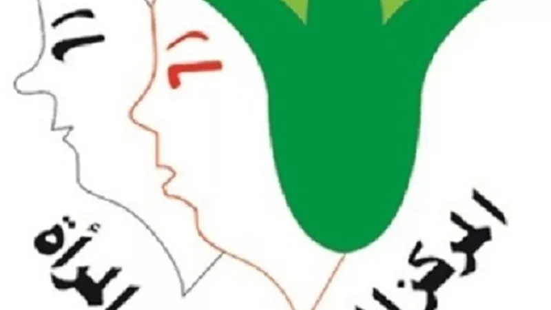 المصري لحقوق المرأة : قانون سرية بيانات المجني عليهن في جرائم التحرش.. خطوة هامة للتشجيع على الإبلاغ