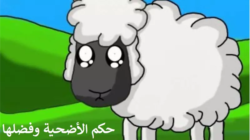 ما هو حكم الأضحية وفضلها؟ .. مجمع البحوث الإسلامية يجيب