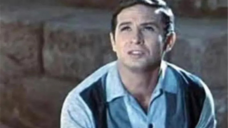 حفيدة محمود رضا .. فنانة شابة مشهورة