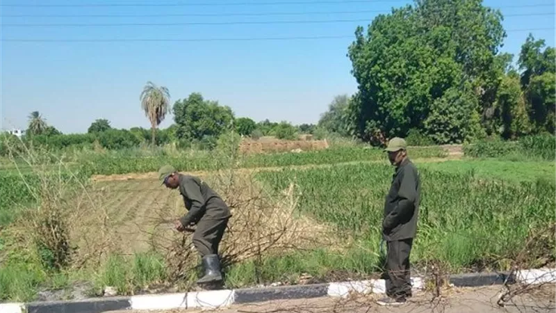 رفع 23 طن أتربة ومخلفات فى حملة بالبياضية جنوب شرق الأقصر