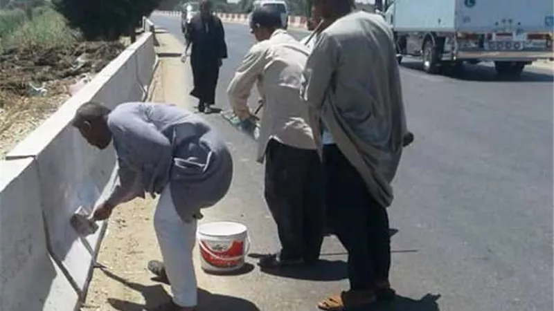 صيانة اعمدة وتركيب كشافات ولمبات موفره بقرى المنشاة فى سوهاج .. بالصور