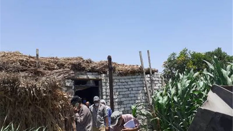 محافظ أسيوط: إزالة 11 حالة تعدي على أراضي زراعية وأملاك دولة خلال حملات مكبرة بمركز ساحل سليم