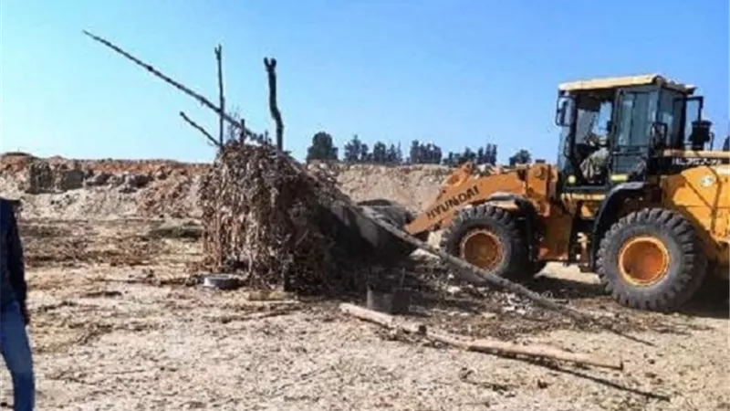 ازالة ٨ حالات تعد على الأراضى الزراعية بمساحة ٨٥ فدانا بمركز الحسينية