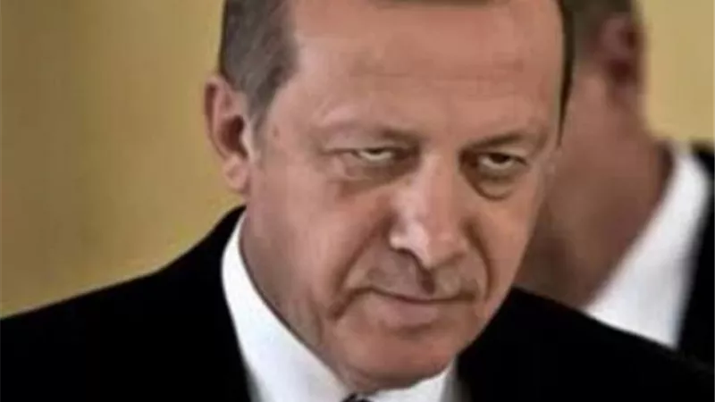 «وثيقة مسربة» تحمل شعار «سري للغاية».. تفضح محاولات أردوغان السطو على أموال معارضيه