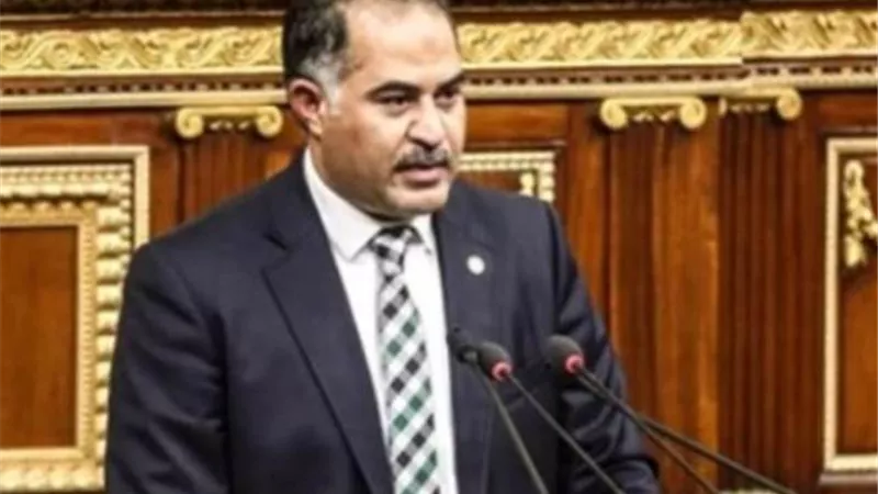 وكيل النواب: قرار البرلمان الليبي تاريخي والقيادة السياسية والشعب المصري لن يتخلى عن الأشقاء في ليبيا