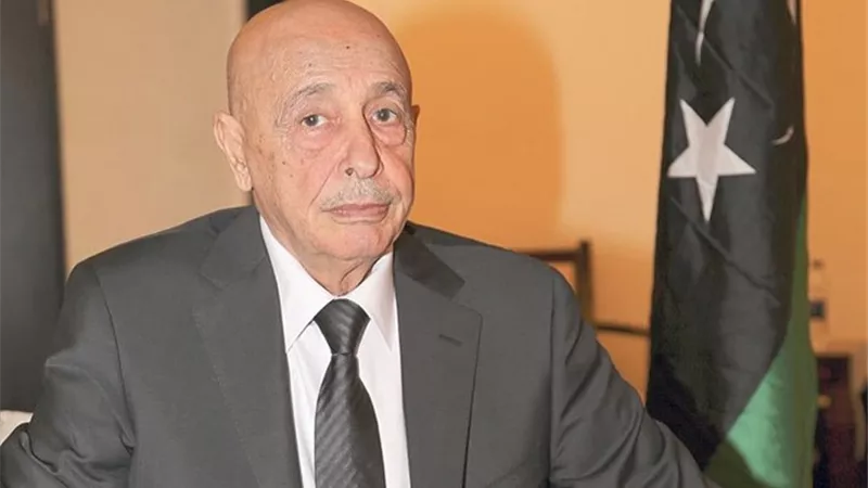 نحتاج مساعدة.. مستشار البرلمان الليبي: مليشيات أردوغان في طريقها إلى سرت والجفرة