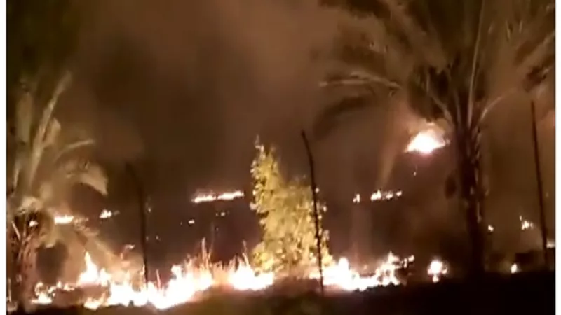 حريق هائل في مصنع ألومنيوم جنوب إيران.. فيديو