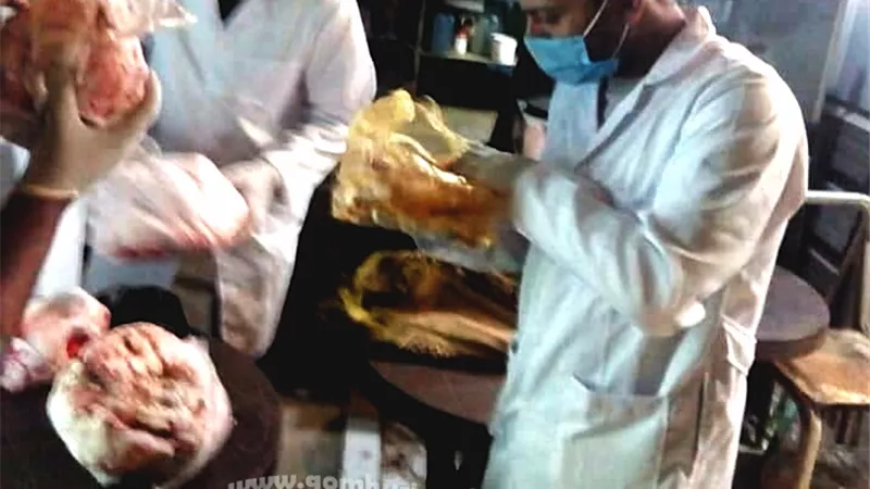 ضبط 23 كيلو لحوم مشويات فاسدة بثلاجات مطاعم فى الوادى الجديد.صور