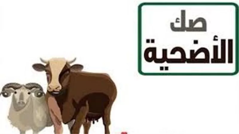 برلمانية المؤتمر : صكوك أضاحى الاوقاف ضربة للارهاربية