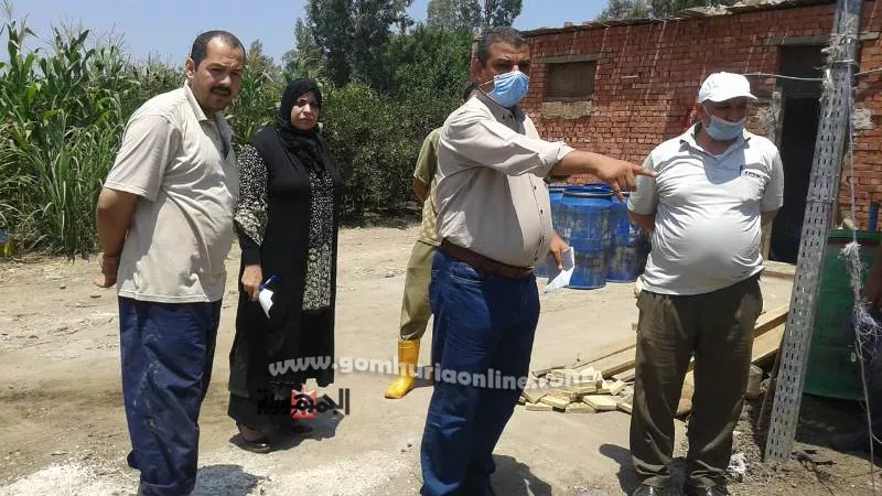 حصاد حملات التموين بالمنوفية خلال 48 ساعة.. ضبط مصنع مخالف لمنتجات الألبان بقويسنا، وتحرير 310 محاضر للمخابز والبقالة.. صــور
