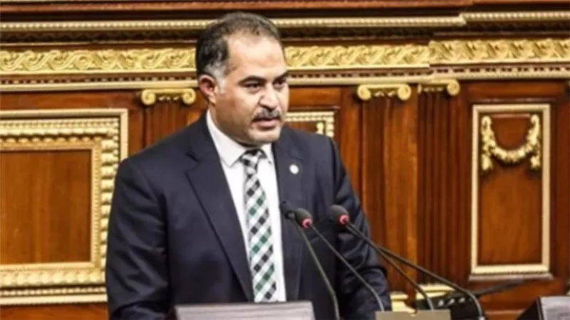وكيل النواب: إشعال الجبهة الجنوبية والغربية على مصر في وقت واحد ليس صدفه.. ومصر قادرة على التصدي للجميع