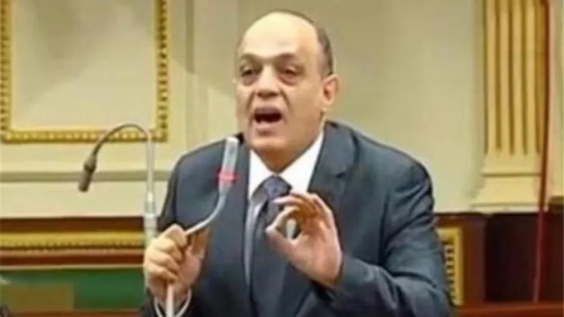 رئيس مشروعات النواب: السيسي يدعم ملف المشروعات المتوسطة والصغيرة ومتناهية الصغر باعتبارها قاطرة التنمية