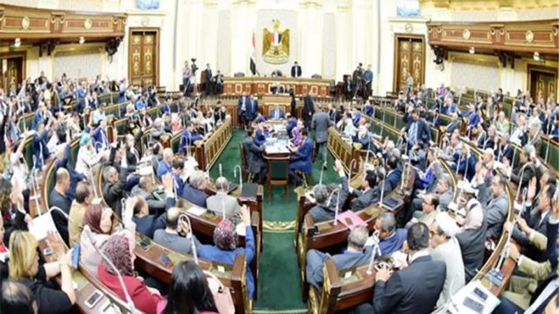 مشروعات النواب تطالب بوضع خريطة استثمارية للمشروعات الصغيرة لكل محافظة وفقا للاحتياجات الخاصة بها