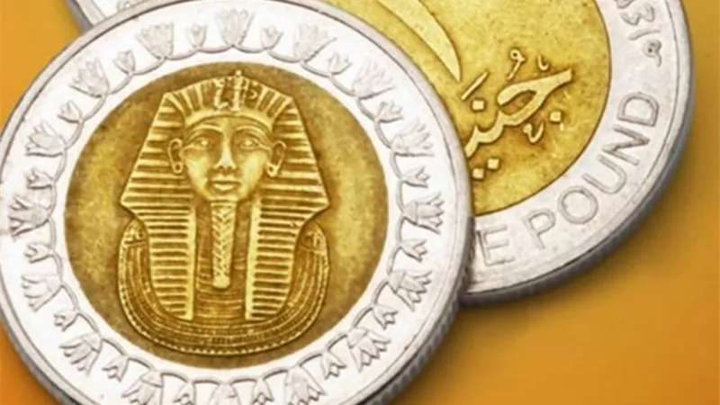 فيديوجراف.. الجنيه المصري الأفضل بين عملات الأسواق الناشئة خلال آخر 3 سنوات