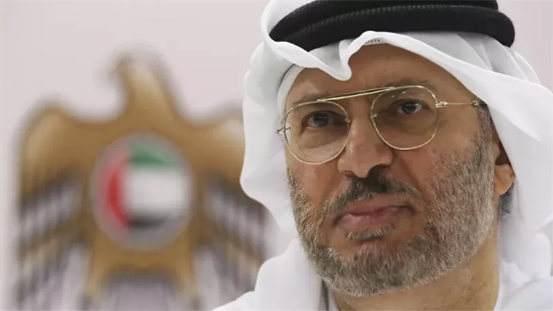 الإمارات: التدخل في العالم العربي لا يجب أن يمر دون عقاب