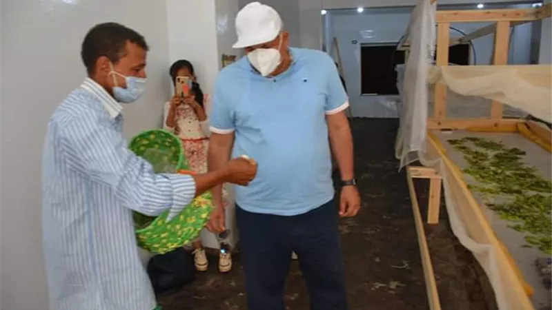 الزملّوط يمنح 50 فدانا لصاحب مزرعة ديدان لإنتاج الحرير بالوادى الجديد