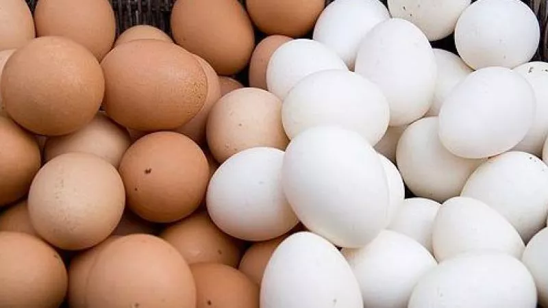 سعر كرتونة البيض اليوم الجمعة 17 من يوليو 2020