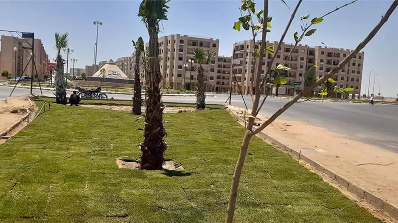 رئيس الجهاز: بدء تنفيذ مشروع رفع كفاءة وصيانة المسطحات الخضراء بمدينة الشروق