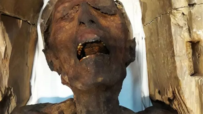 مؤامرة الحريم والمراة الصارخة روايات مومياوات تأخذك لعالم الفراعنة