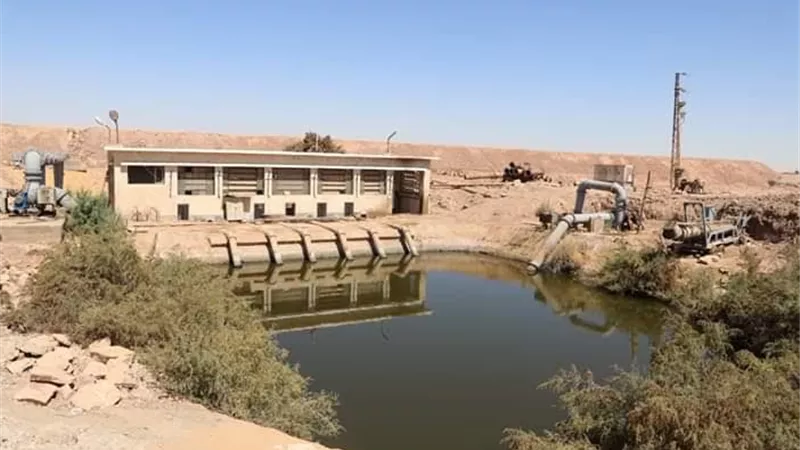 الزملّوط يحول كارثة بركة موط لمشروع اقتصادى عملاق على مياه الصرف بالوادى الجديد