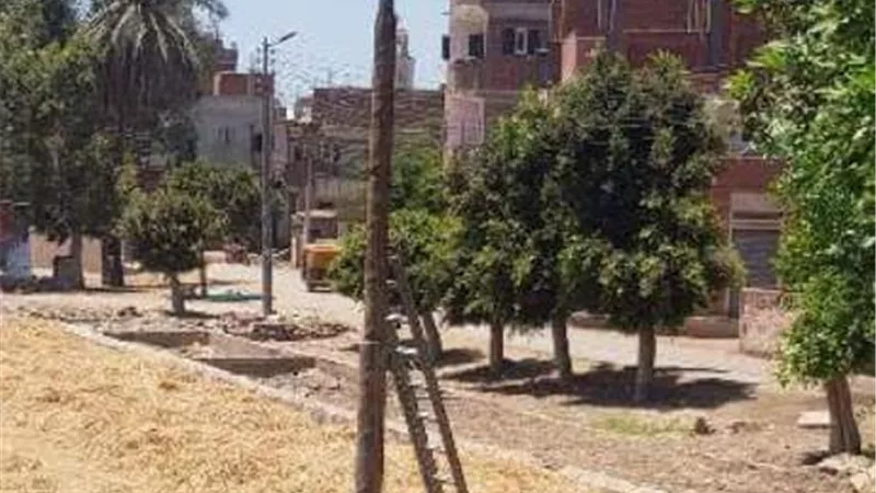 إستجابة للأهالي . محافظ الشرقية يوجه بإستبدال عامود كهرباء متهالك بكفرصقر.صور