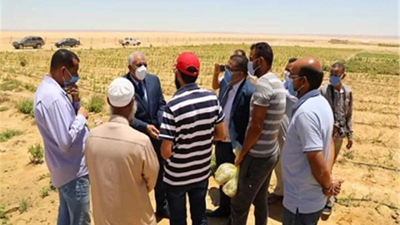 الزملّوط يشيد بالكفاءة الإنتاجية لمشروع نباتات طبية على مساحة 500 فدان بالفرافرة .صور