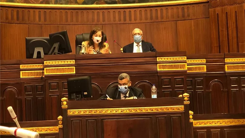 هالة السعيد: لا بد من توافق قانون التخطيط مع الدستور لتنفيذه على أرض الواقع