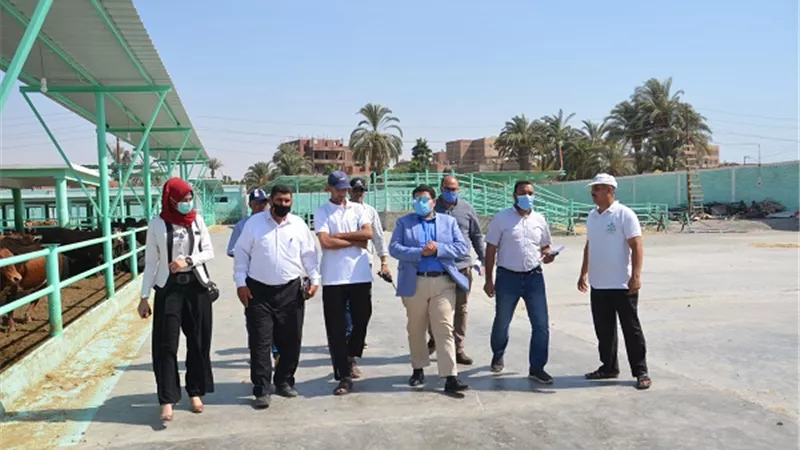 محافظ بنى سويف يتبنى خطة إستراتيجية لتنمية الزراعة