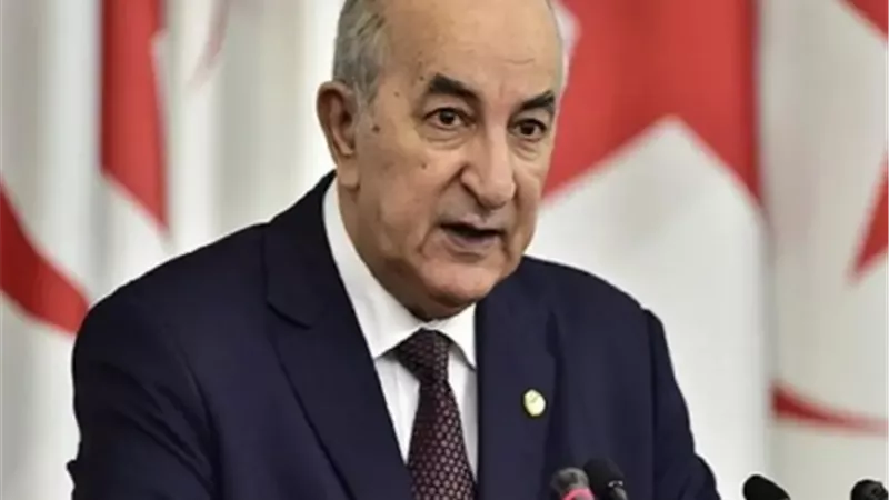 رئيس الجزائر يحذر من تحول ليبيا إلى 