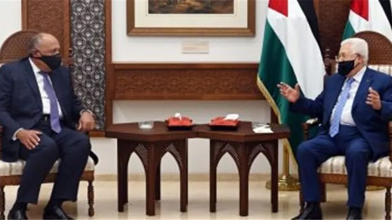 شكرى يبحث مع أبو مازن استئناف جهود السلام.. ويعلن رفض مصر لخطة الضم