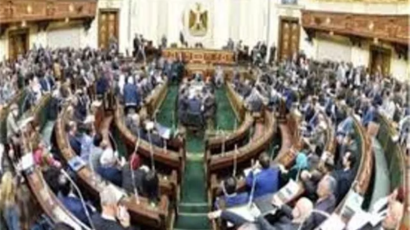 برلماني يكشف كواليس الجلسة السرية لمجلس النواب.. فيديو