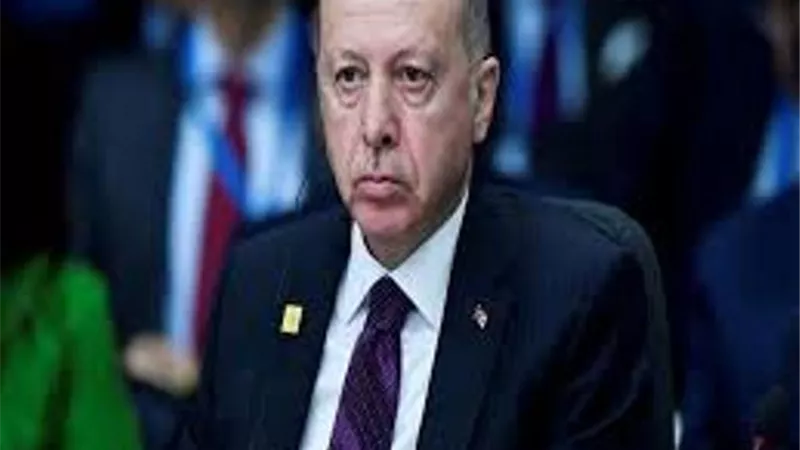 الديهى: أردوغان يعترف بإرسال دواعش إلى سيناء