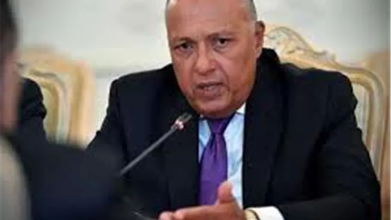 شكري يجري إتصاليّن مع نظيريّه الفرنسي والألماني لبحث تطورات الأوضاع في ليبيا