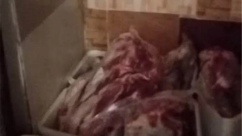 ضبط مواد غذائية منتهية الصلاحية ومجهولة المصدر فى حملات على مصانع ومخازن ومحال تجارية ببلبيس والعاشر