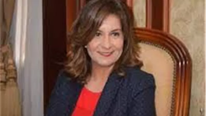 خطوات تصويت المصريين بالخارج في انتخابات مجلس الشيوخ عبر البريد السريع