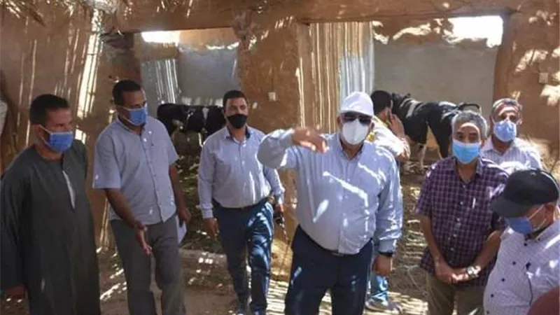 الزملوط يتفقد مشروع إستثمار متكامل على مساحة 500 فدان بالوادى الجديد.صور