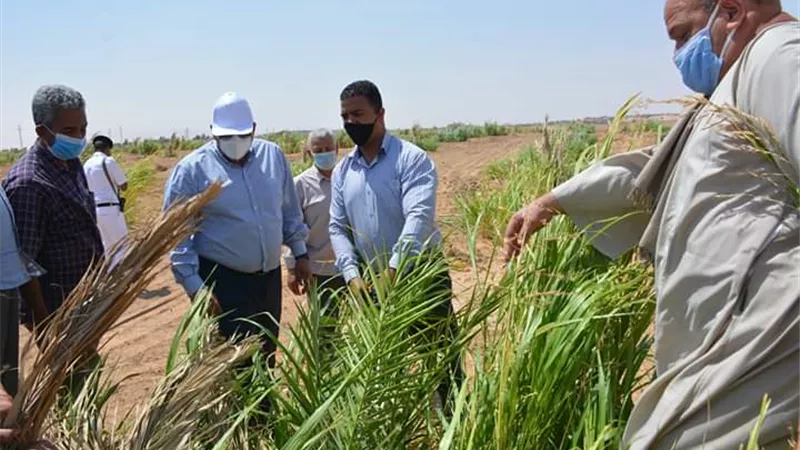 الزملوط يكافئ مزارع ب10 أفدنة تقديرا لجديته بالوادى الجديد
