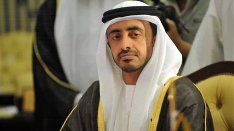 وزير الخارجية الإماراتي: نحرص على وحدة وأمن واستقرار ليبيا