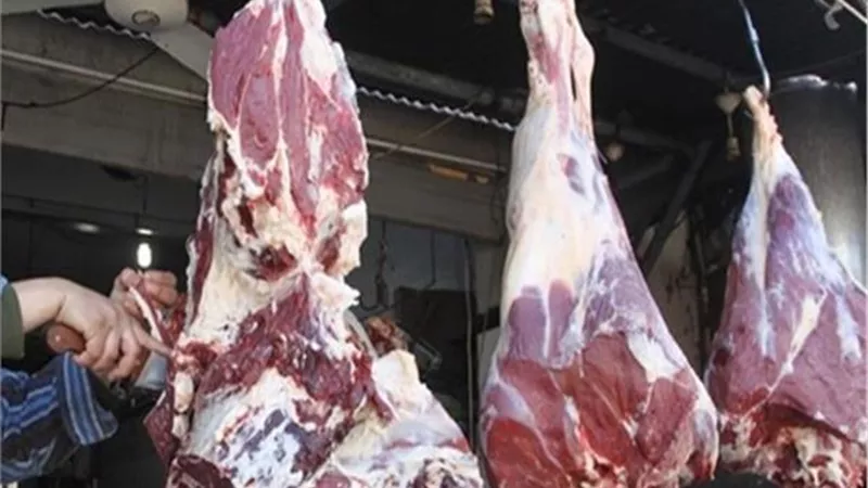 الوزراء : طرح لحوم عيد الاضحى دون اى زيادة فى الاسعار