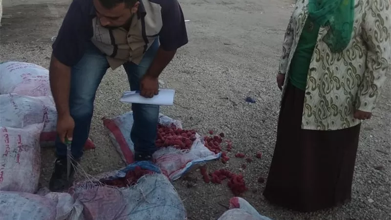 بالصور.. غلق ثلاجة كبري وإعدام أكثر من ٥ طن فواكة وأغذية فاسدة بالعاشر من رمضان